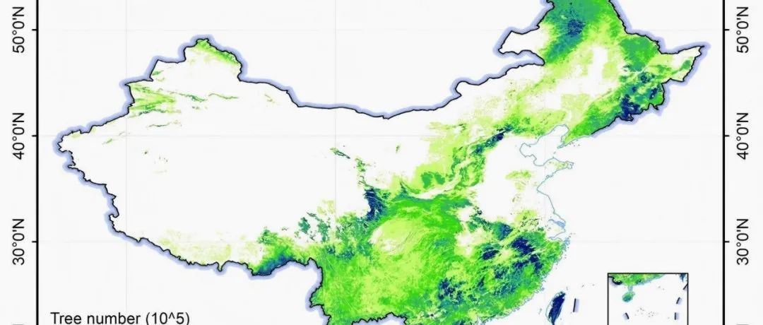 中国有多少棵树？北大郭庆华团队最新研究给出答案：约1426亿棵，相当于每人拥有约100棵树