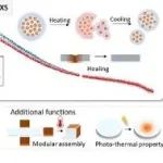 ACS Nano：通过热诱导的结构重组的响应式磁聚合物纳米复合材料
