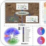 中国科学院生态环境研究中心金德才副研究员JHM｜传统和全生物降解地膜在大田降解过程中塑料际微生物组的比较