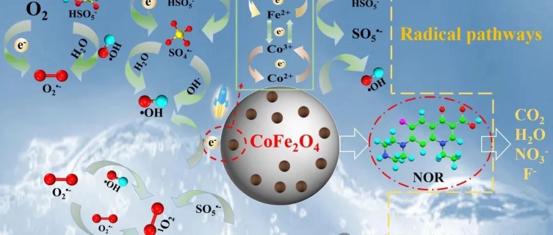 文献速递|东北电力大学SPT:高磁性 CoFe2O4 负载 0D-CQDS 活性 PMS 降解诺氟沙星：机理分析和环境影响