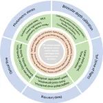 北京邮电大学AFM：人工皮肤—基于视触觉传感的三维重建技术--材料、方法和评估！