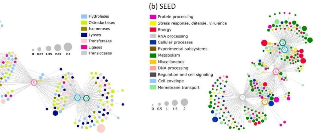 鸟枪法宏基因组研究丨SOIL BIOL BIOCHEM：有机种植制度改变土壤微生物群落的代谢潜力和碳、氮、磷循环能力