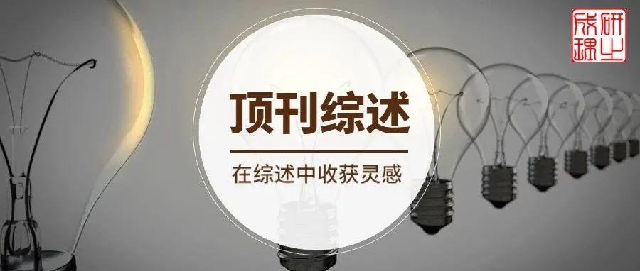 中南大学雷永鹏综述：太阳光谱相似性仿生叶片