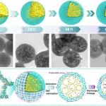 湘潭大学刘备/阳梅&北化工邱介山AM：蜂窝状多囊腔纳米球共价三嗪多孔聚合物助力超高比电容水系超级电容器