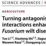 Science Advances | 沈其荣院士课题组揭示土壤有益细菌与真菌相互作用对植物健康的影响