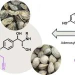 J. Am. Chem. Soc. | 基于软体动物编码的非核糖体途径产生Bursatellin同系物