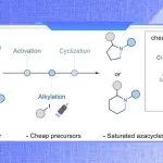 Timothy No&#235;l团队Nature子刊：二级酰胺的脱氧光化学烷基化反应