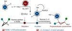 C-H活化，Ackermann教授最新工作，同时上线Nat. Synth.和JACS！