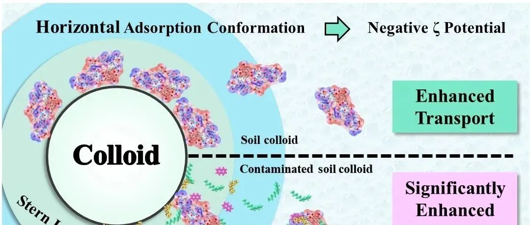 【他山之石】农业农村部环境保护科研监测所马杰副研究员联合天津科技大学李海明教授：垂直吸附构象胡敏酸促进石油烃污染胶体的迁移