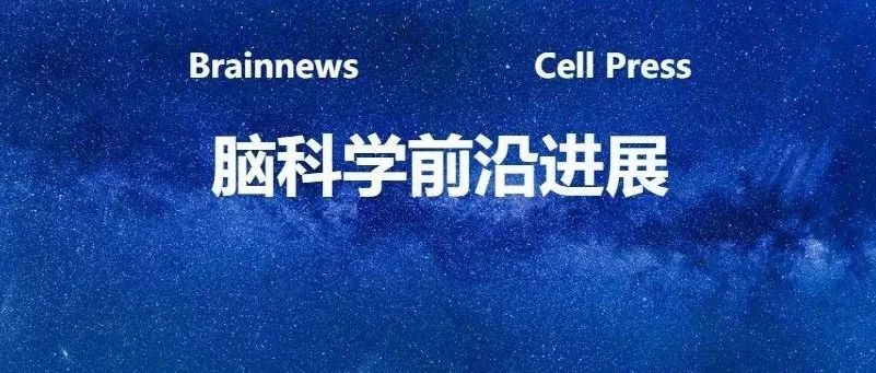 Cell：治疗新思路！研究发现驱动亨廷顿舞蹈症小鼠的选择性致病新机制