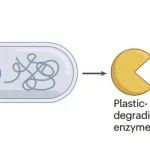 研究进展：“吃塑料”的酶，塑料循环-生物工程 | Nature Reviews Bioengineering