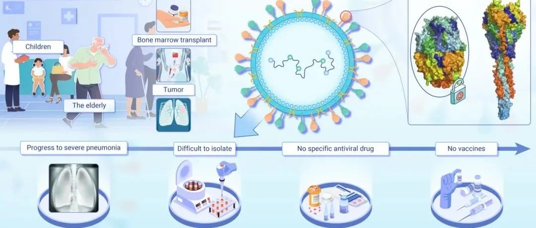 The Innovation Medicine | 人偏肺病毒研究加速，我们离疫苗上市还有多远？