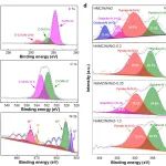 Rare Metals 广州大学王欢：具有优异储锂性能的掺氮木质素介孔碳/镍/氧化镍纳米复合材料