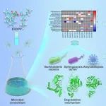 东莞理工学院唐少宇、华北电力大学牛军峰等WR：微生物菌群降解有机磷酸酯EHDPP的酶学机制