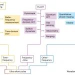 研究进展：浙江师范大学-超快光学的时域傅里叶变换 | Nature Reviews Methods Primers