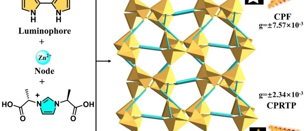 张健团队基于双配体策略构建了可用于防伪的圆偏振室温磷光材料