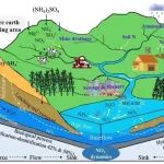 中国环科院张秋英团队ES&T：稀土矿区氮的迁移转化过程及模拟方面的系列研究