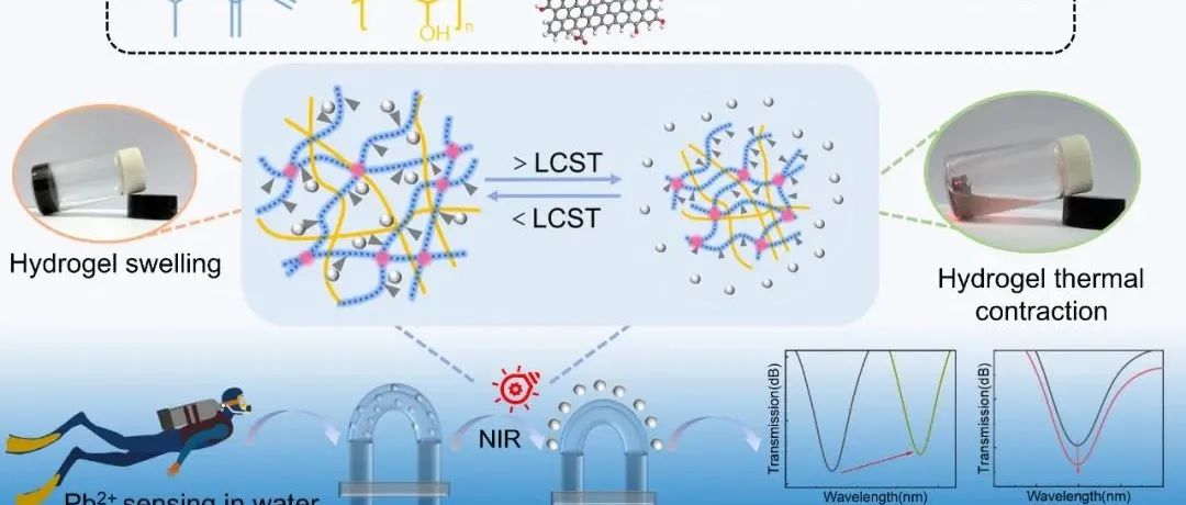 JHM：非接触式近红外光“自清洗”水凝胶功能化光纤传感器设计及水中Pb2+的高灵敏度检测