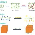 华中师大曹郁教授团队 Polym. Rev. 综述：温敏纤维素水凝胶 - 材料设计前沿