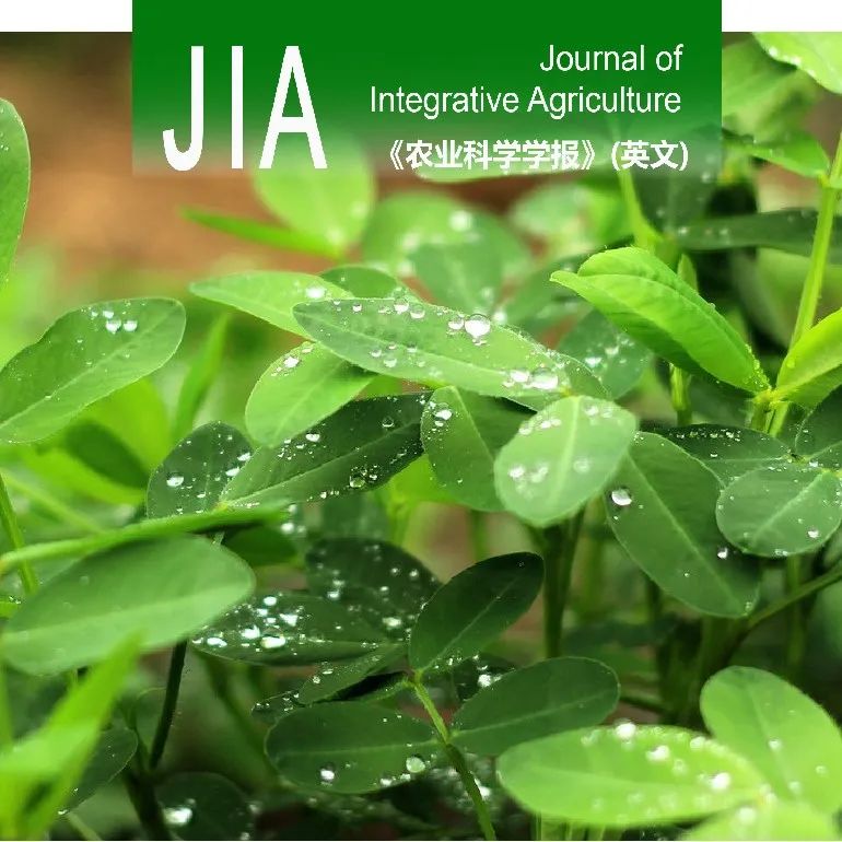 JIA | 钱国良课题组联合发表综述总结产酶溶杆菌独特生防特性及其调控机制