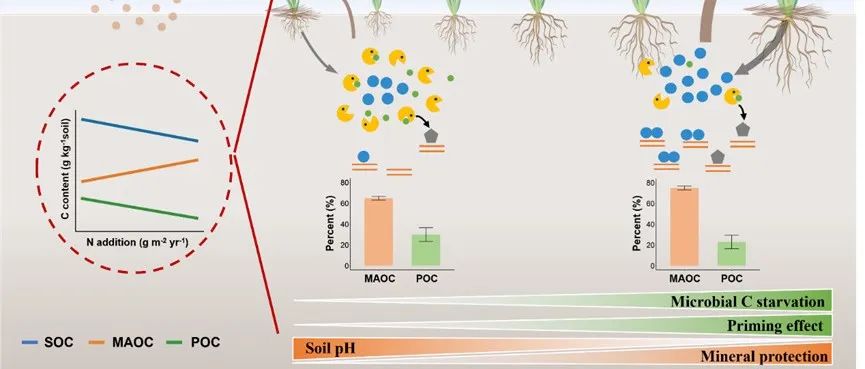 SBB | 韩兴国/姜勇团队揭示高频氮沉降下典型草原土壤矿物结合态有机碳与颗粒有机碳消长机制