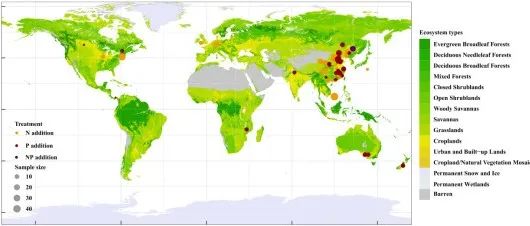 Global Biogeochemical Cycles | 全球土壤磷组分对氮和磷输入的差异响应