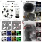 3D打印热电最新Science!!!超过传统块体材料的最高水平！