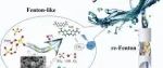 文献速递|华侨大学SPT:在棉花和改性牡蛎壳上使用普鲁士蓝类似物 (PBA) 的类芬顿系统降解污染物：通过再芬顿反应