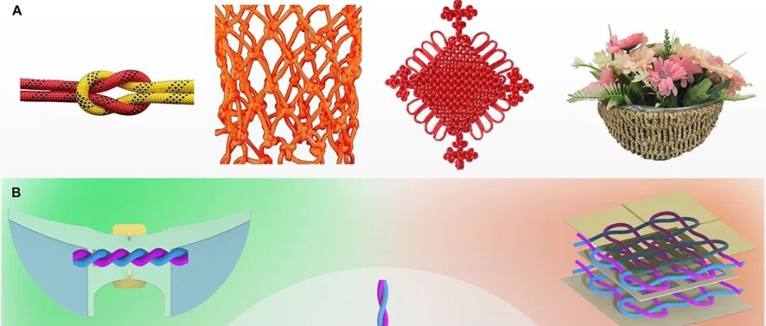 浙大徐彦教授团队 Sci. Adv.: 绳结技艺启发的编织液晶弹性体纤维机器人