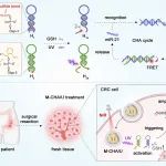 J Am Chem Soc | 武汉大学袁荃/杨雁冰团队联合中南医院丁召在结直肠癌microRNA成像领域取得新进展