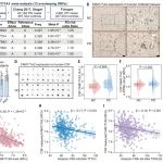 全球首次！复旦团队重磅Science：发现帕金森病全新治疗靶点，或可实现帕金森病“标本兼治”