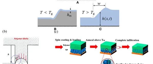 南京大学王晓亮教授团队特约综述：受限态高分子的微观动力学与流变学行为研究进展