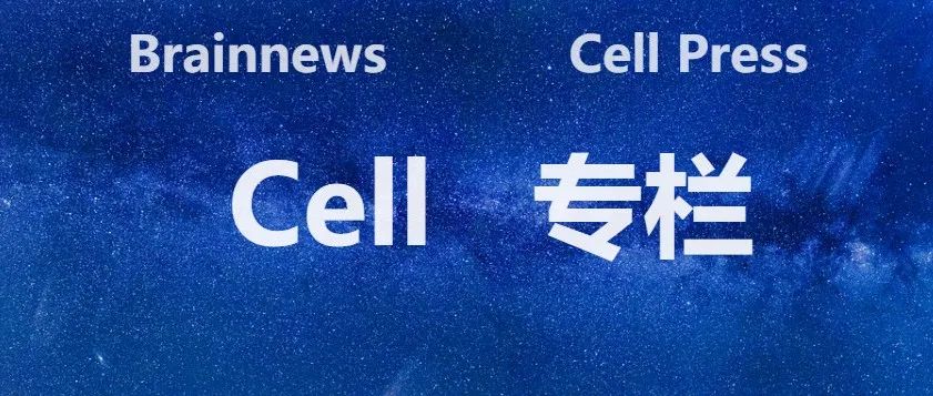 Cell：雄性求偶过程会使用“精明策略” ，部分神经元在其中发挥关键作用！