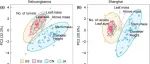 New Phytologist：复旦/云大李博/鞠瑞亭团队联合国内外学者揭示克隆能力及其可塑性在外来植物入侵成功中的作用