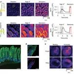 北京大学李毓龙团队最新Nature！