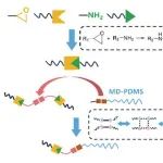 北京印刷学院孙志成教授Progress in Organic Coatings：超支化环氧树脂类液体光滑涂层的自修复性能研究