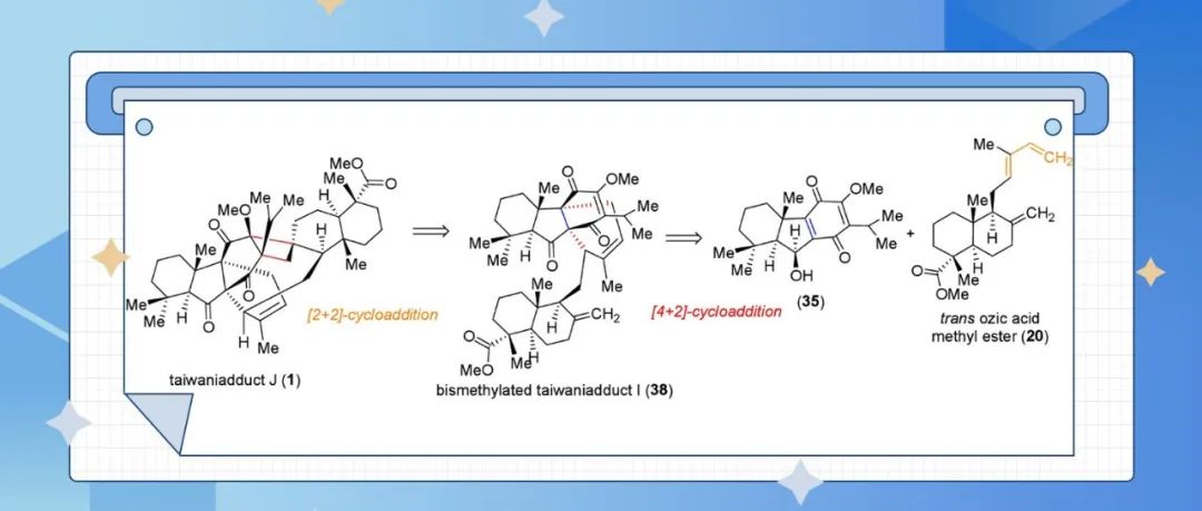 【JACS Au】巧用两次环加成完成台湾杉醌Taiwaniadducts I、J、L的首次对映选择性全合成