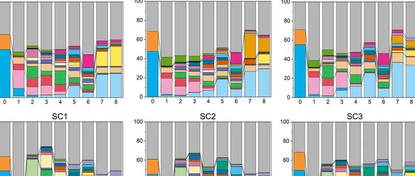 北京大学籍国东团队ISME Commun：营养物质波动输入对硝酸盐还原微生物的影响