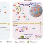 河南大学宋纯鹏教授团队最新Nature子刊!揭示植物耐热调控新机制