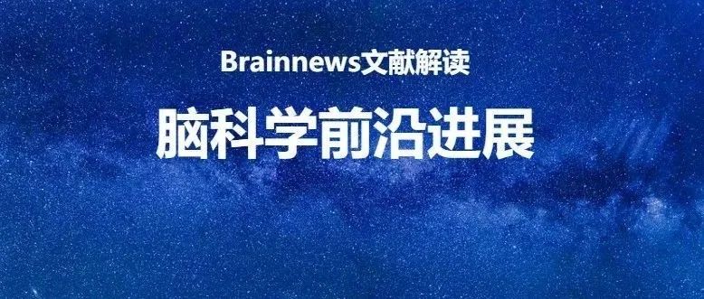 Brain Stimul：用激光照脑安全吗？赵晨光/崔再续/曹爱华等合作首次开展全面且量化的研究