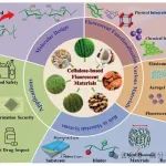 中国科学院新疆理化所窦新存团队Coordination Chemistry Review：纤维素基荧光化学传感器