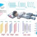 济大王鹏/山大李阳/河北工大孟垂舟/青大姚钊 Nano-Micro Lett.：一种基于水凝胶的柔性集成多模态传感贴片