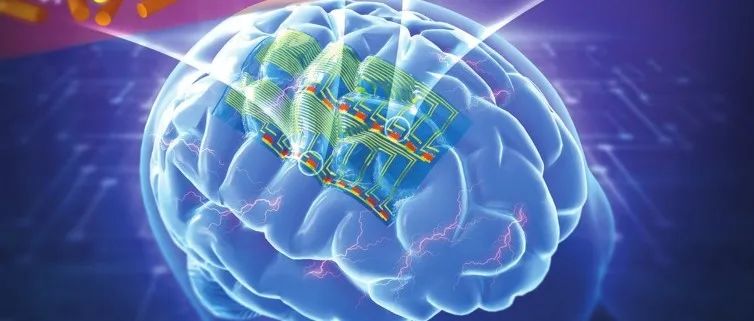 封面文章｜北京大学雷霆教授研究团队特约综述：共轭高分子在脑机接口中的应用与展望