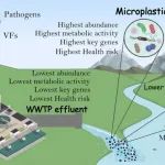 北京工业大学刘秀红等WR：污水处理厂出水微塑料生物群落中的抗生素耐药基因和毒力因子——健康风险和驱动机制