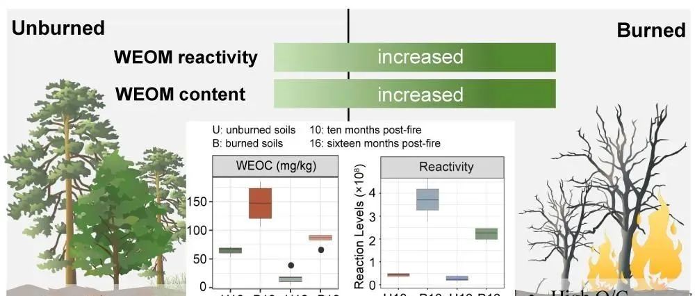 【他山之石】重庆大学马华团队：亚热带森林野火增强了后期土壤水溶性有机质的释放与反应活性