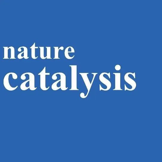 中南大学，Nature Catalysis!