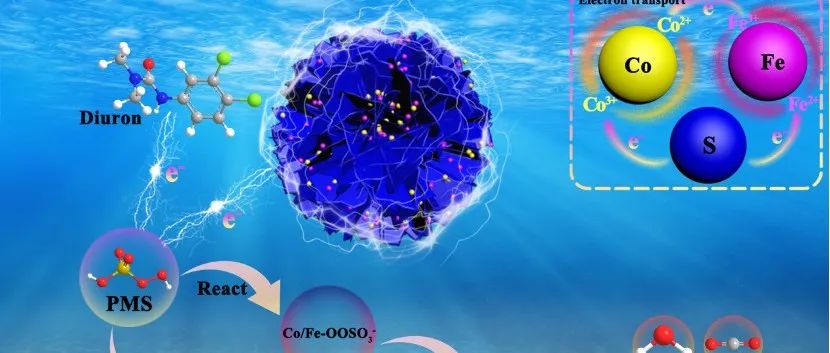 文献速递｜内蒙古农业大学王喜明教授&张晓涛教授Env. Res.：FeS2/CoS2协同高效活化PMS快速降解敌草隆