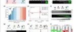 JACS|酶自固定化标记和生物正交反应预靶向多模式肿瘤成像