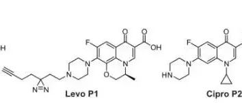 Angew. Chem. Int. Ed. | 化学蛋白质组学揭示氟喹诺酮类药物的脱靶效应会导致线粒体损伤