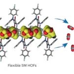 研究前沿：南开大学-氢键有机框架HOF材料-烟气脱硫 | Nature Chemistry